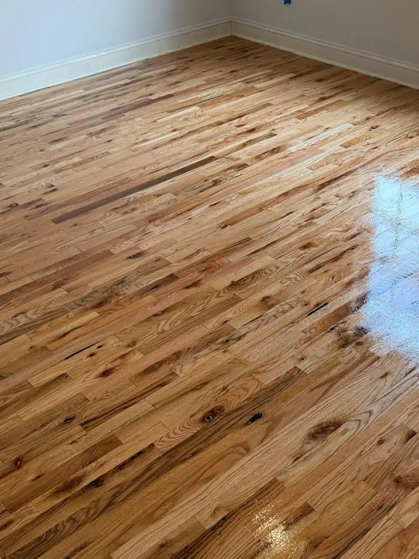 sand-flooring-malves-card